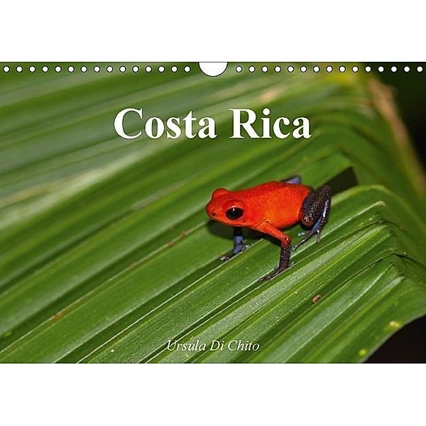Costa Rica (Wandkalender 2017 DIN A4 quer), Ursula Di Chito