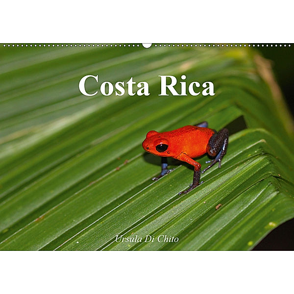 Costa Rica (Wandkalender 2020 DIN A2 quer), Ursula Di Chito