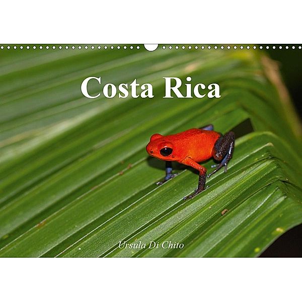 Costa Rica (Wandkalender 2021 DIN A3 quer), Ursula Di Chito