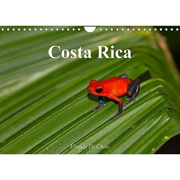 Costa Rica (Wandkalender 2023 DIN A4 quer), Ursula Di Chito