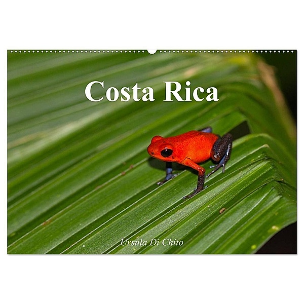Costa Rica (Wandkalender 2024 DIN A2 quer), CALVENDO Monatskalender, Ursula Di Chito