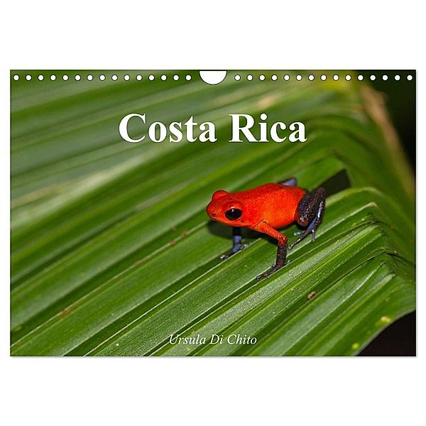 Costa Rica (Wandkalender 2024 DIN A4 quer), CALVENDO Monatskalender, Ursula Di Chito