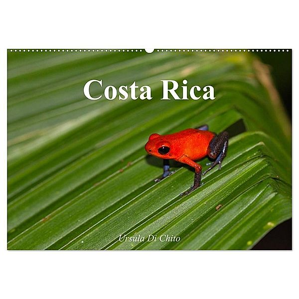 Costa Rica (Wandkalender 2025 DIN A2 quer), CALVENDO Monatskalender, Calvendo, Ursula Di Chito
