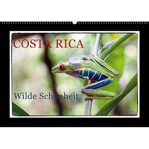 Costa Rica - Wilde Schönheit (Wandkalender 2017 DIN A2 quer), Heribert Adams