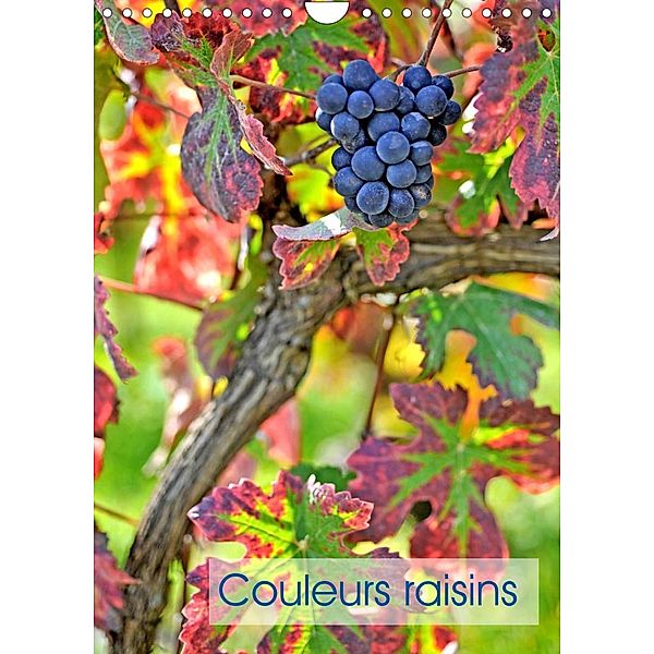 Couleurs raisins (Calendrier mural 2023 DIN A4 vertical), Patrice Thebault