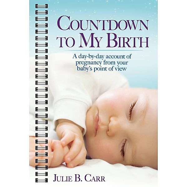 Countdown To My Birth, Julie B. Carr