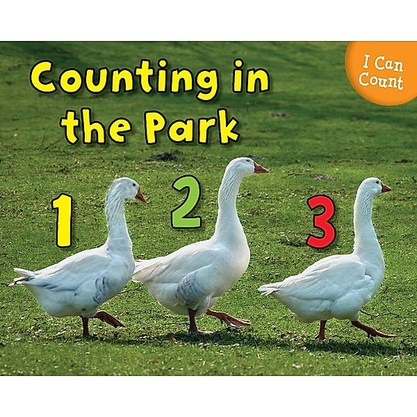 Counting at the Park / Raintree Publishers, Rebecca Rissman