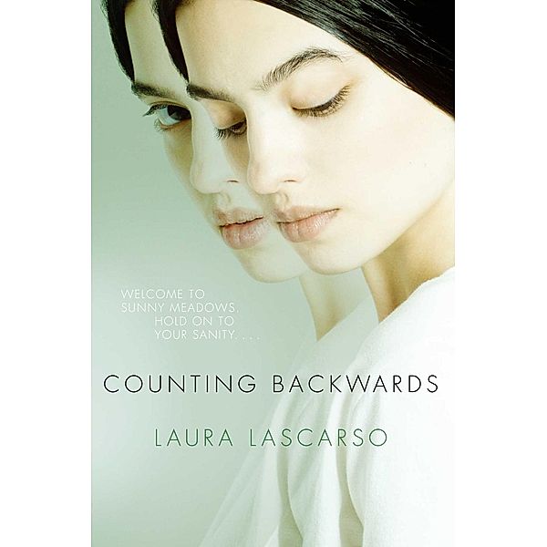 Counting Backwards, Laura Lascarso