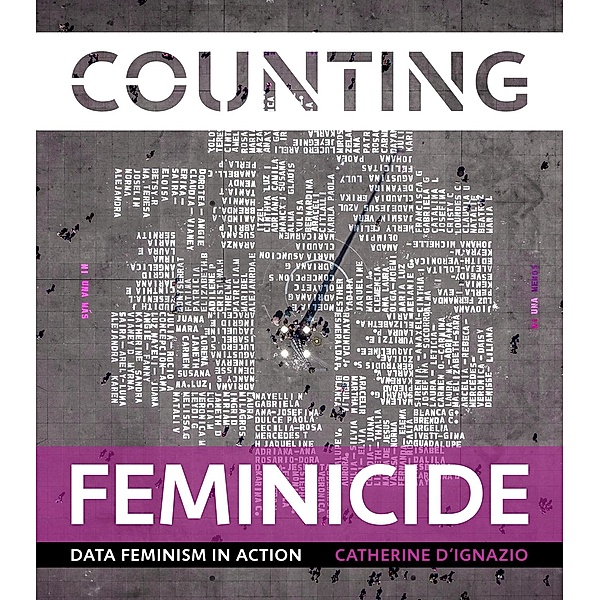 Counting Feminicide, Catherine D'Ignazio