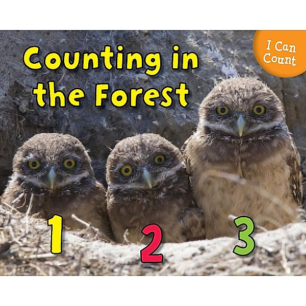 Counting in the Forest / Raintree Publishers, Rebecca Rissman