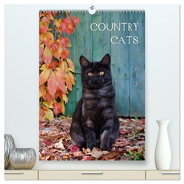 COUNTRY CATS (hochwertiger Premium Wandkalender 2024 DIN A2 hoch), Kunstdruck in Hochglanz, Katho Menden