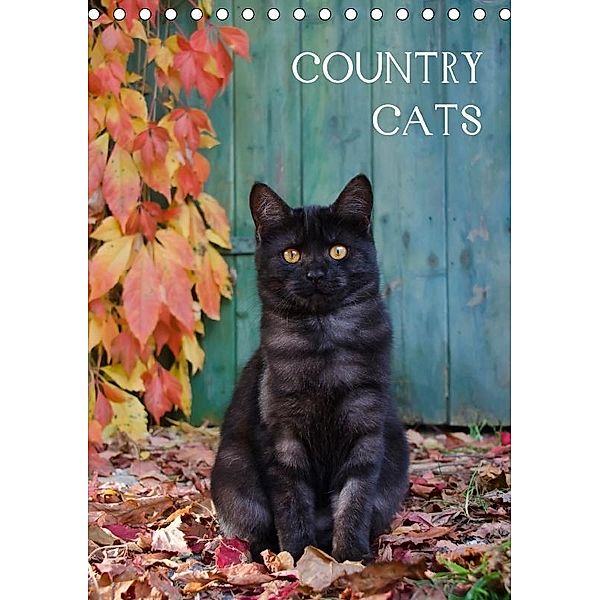COUNTRY CATS (Tischkalender 2017 DIN A5 hoch), Katho Menden
