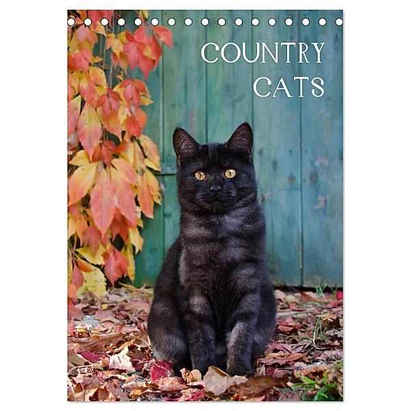 COUNTRY CATS (Tischkalender 2024 DIN A5 hoch), CALVENDO Monatskalender, Katho Menden