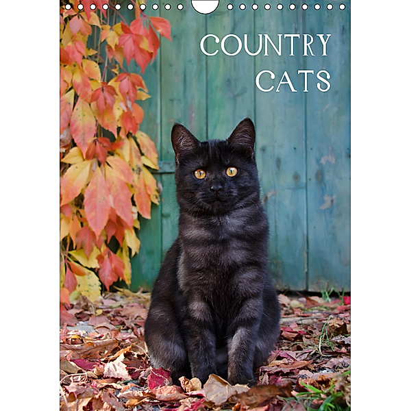 COUNTRY CATS (Wandkalender 2019 DIN A4 hoch), Katho Menden