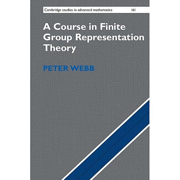 Course in Finite Group Representation Theory, Peter Webb