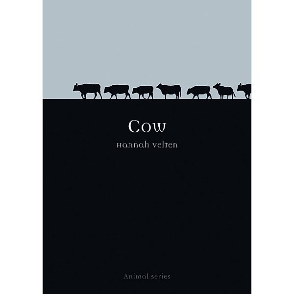 Cow, Hannah Velten