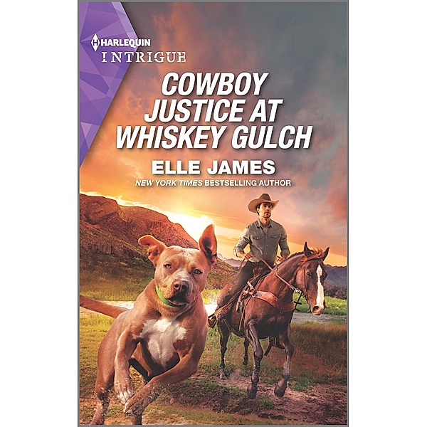 Cowboy Justice at Whiskey Gulch / The Outriders Series Bd.6, Elle James