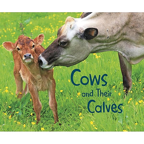 Cows and Their Calves / Raintree Publishers, Margaret Hall