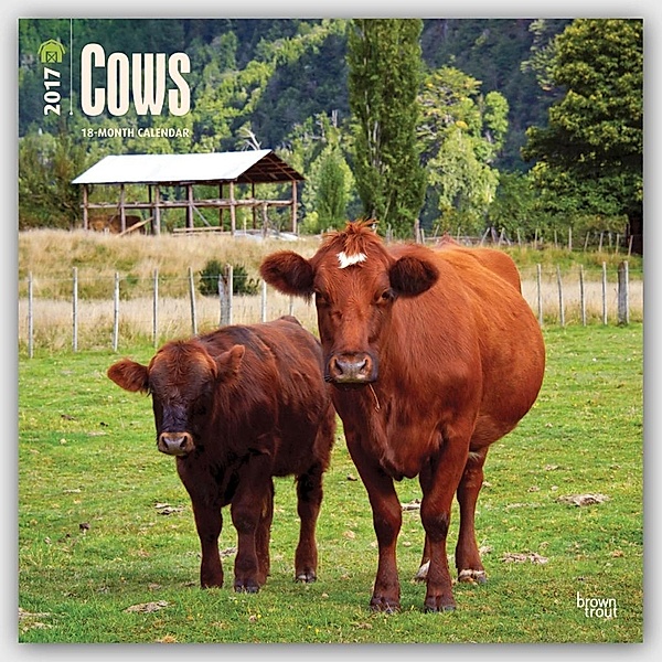 Cows - Kühe 2017 - 18-Monatskalender