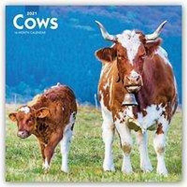 Cows - Kühe 2021 - 16-Monatskalender, Cows 2021