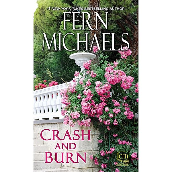 Crash and Burn / Sisterhood Bd.27, Fern Michaels