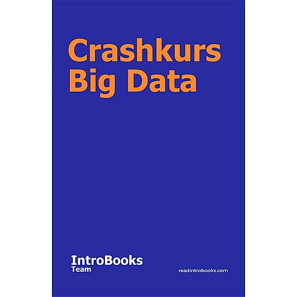 Crashkurs Big Data, IntroBooks Team