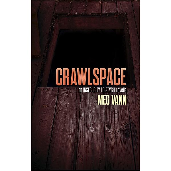 Crawlspace (The InSecurity Triptych, #3) / The InSecurity Triptych, Meg Vann