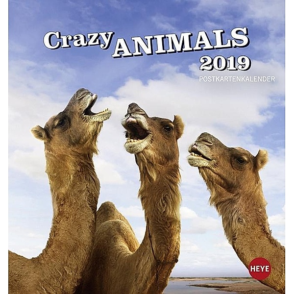 Crazy Animals Postkartenkalender 2019