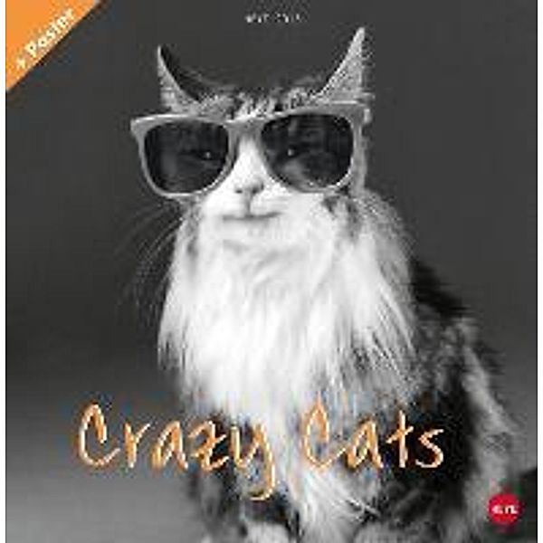 Crazy Cats Broschur 2015