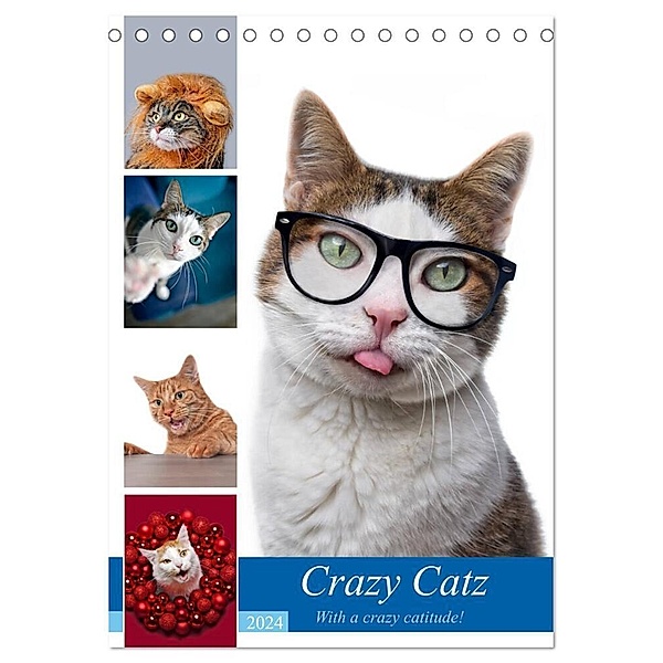 Crazy Catz. (Tischkalender 2024 DIN A5 hoch), CALVENDO Monatskalender, Thorsten Nilson