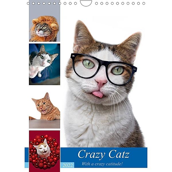 Crazy Catz. (Wandkalender 2022 DIN A4 hoch), Thorsten Nilson