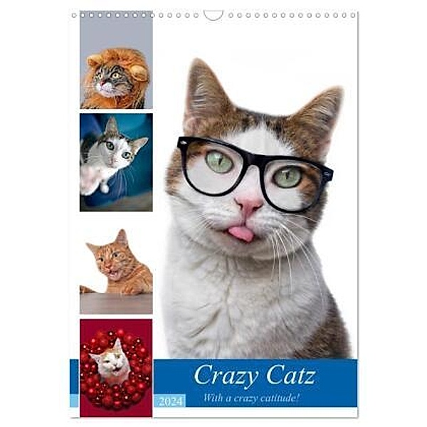 Crazy Catz. (Wandkalender 2024 DIN A3 hoch), CALVENDO Monatskalender, Thorsten Nilson