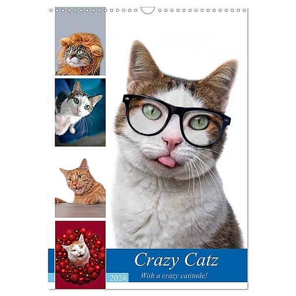 Crazy Catz. (Wandkalender 2024 DIN A3 hoch), CALVENDO Monatskalender, Thorsten Nilson