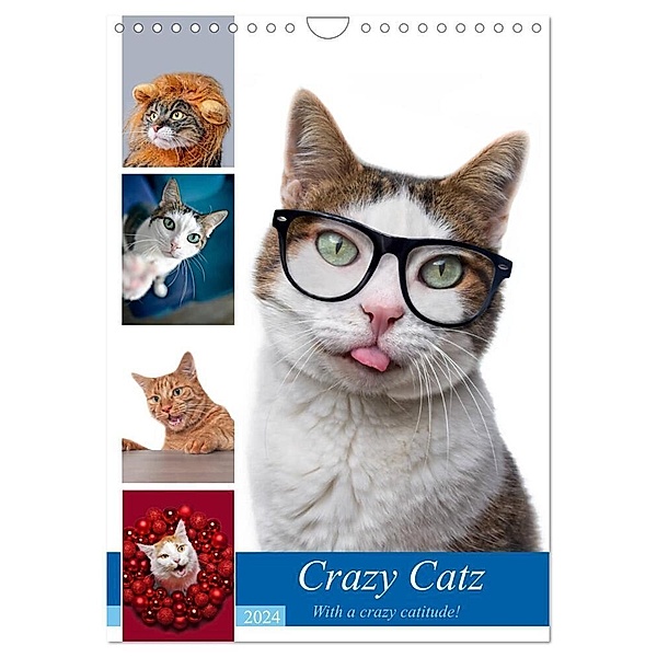 Crazy Catz. (Wandkalender 2024 DIN A4 hoch), CALVENDO Monatskalender, Thorsten Nilson