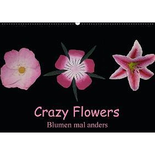 Crazy Flowers - Blumen mal anders (Wandkalender 2015 DIN A2 quer), Gudrun Nitzold-Briele
