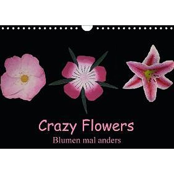 Crazy Flowers - Blumen mal anders (Wandkalender 2015 DIN A4 quer), Gudrun Nitzold-Briele