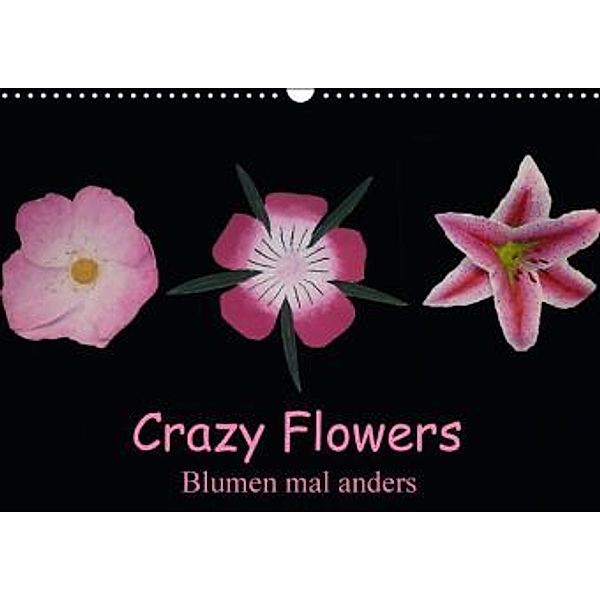 Crazy Flowers - Blumen mal anders (Wandkalender 2016 DIN A3 quer), Gudrun Nitzold-Briele