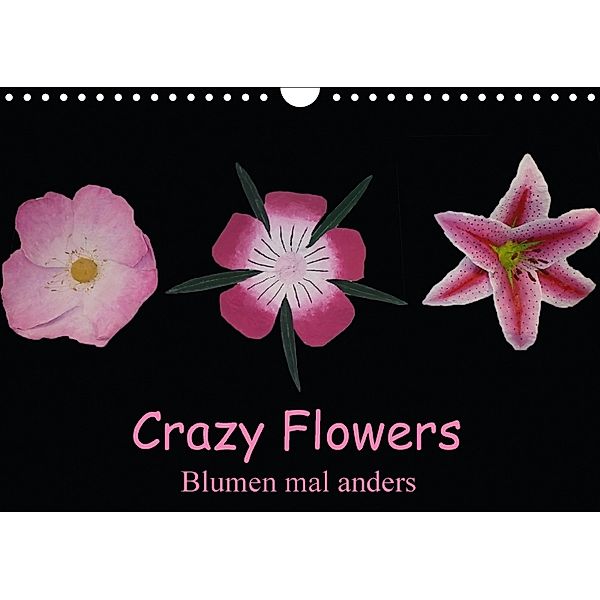 Crazy Flowers - Blumen mal anders (Wandkalender 2018 DIN A4 quer), Gudrun Nitzold-Briele
