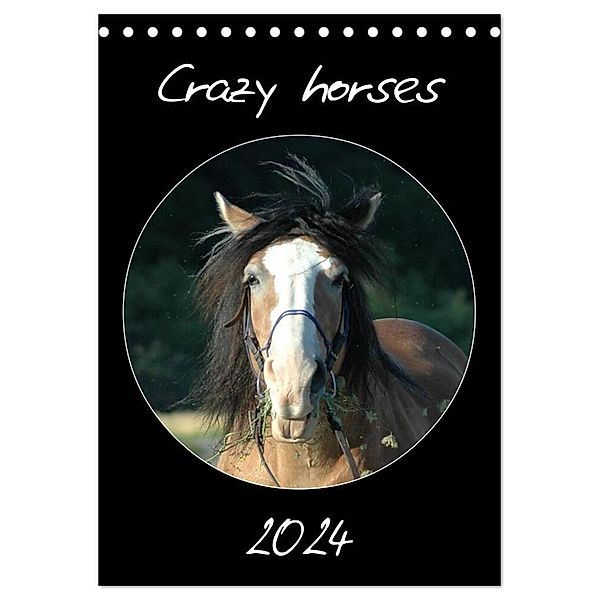 Crazy horses (Tischkalender 2024 DIN A5 hoch), CALVENDO Monatskalender, Claudia Lampert