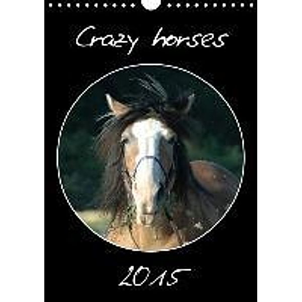 Crazy horses (Wandkalender 2015 DIN A4 hoch), Claudia Lampert