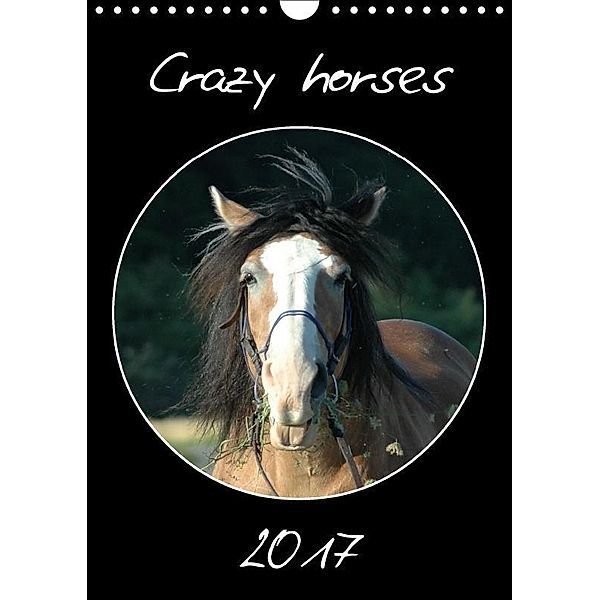 Crazy horses (Wandkalender 2017 DIN A4 hoch), Claudia Lampert