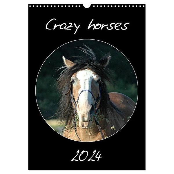 Crazy horses (Wandkalender 2024 DIN A3 hoch), CALVENDO Monatskalender, Claudia Lampert