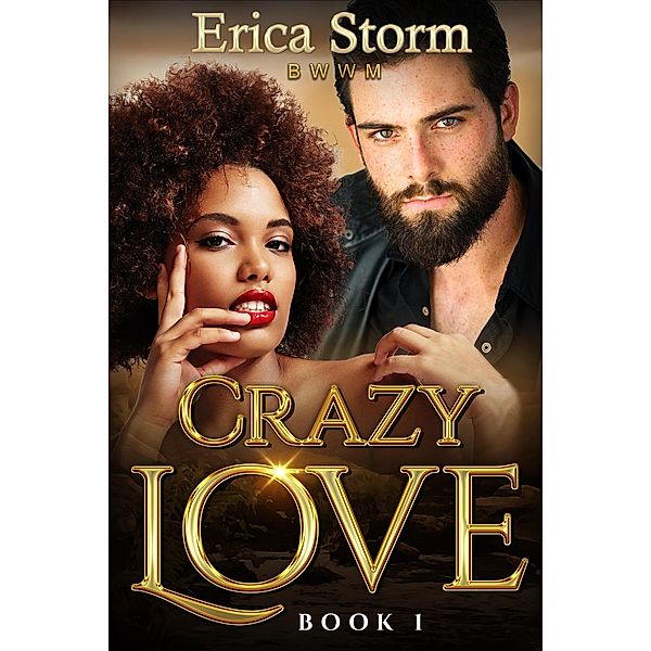 Crazy Love (Crazy in Love, #1) / Crazy in Love, Erica Storm