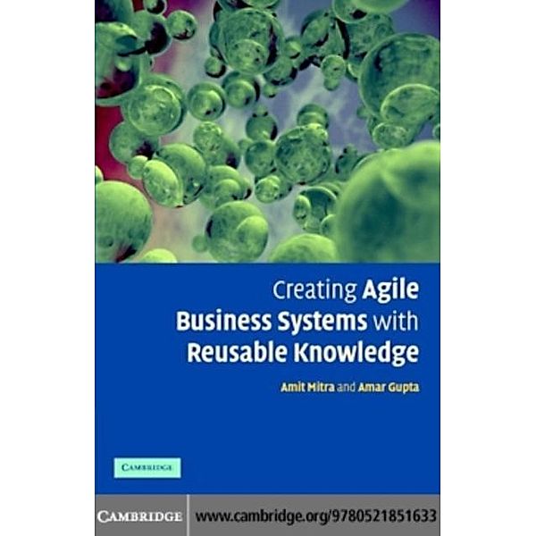Creating Agile Business Systems with Reusable Knowledge, A. Mitra