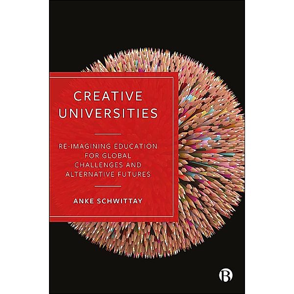 Creative Universities, Anke Schwittay