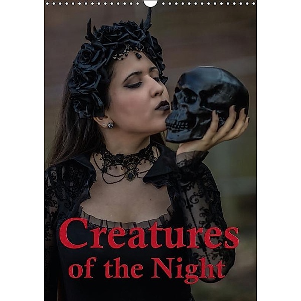 Creatures of the Night - Menschen in der Nacht (Wandkalender 2017 DIN A3 hoch), Hans Will