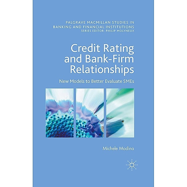 Credit Rating and Bank-Firm Relationships / Palgrave Macmillan Studies in Banking and Financial Institutions, Michele Modina