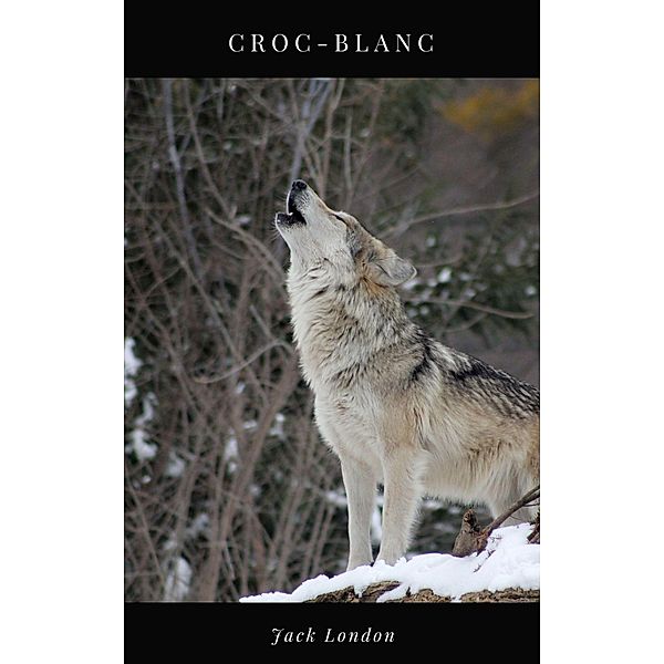 Croc-Blanc, Jack London