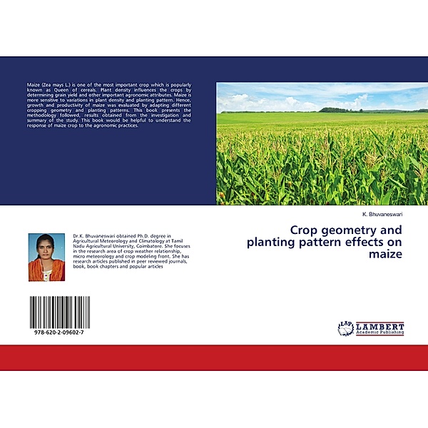 Crop geometry and planting pattern effects on maize, K. Bhuvaneswari