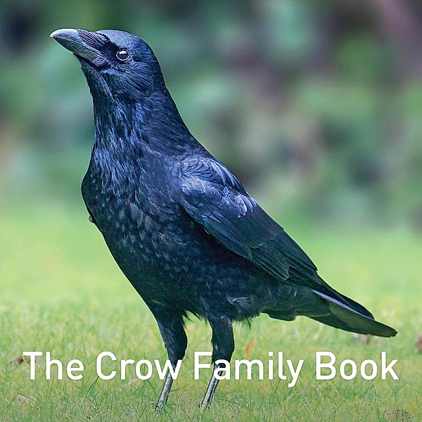 Crow Family Book, Jane Russ